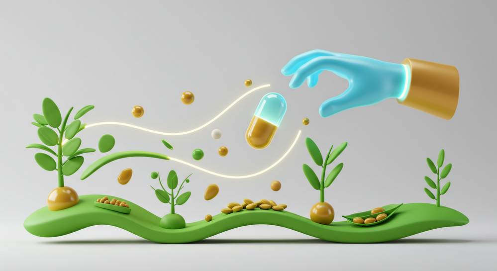 Essential dietitian advice for a healthy plant based diet 3 When to consider supplements and professional guidance